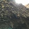 Lightweight organic Compost mix Gold Coast